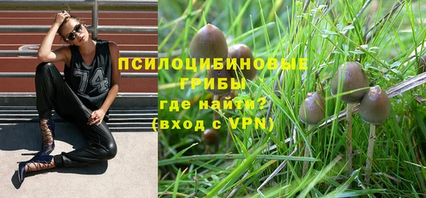 PSILOCYBIN Алексин