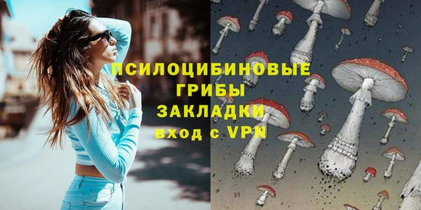 PSILOCYBIN Алексин