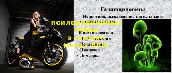 PSILOCYBIN Алексин