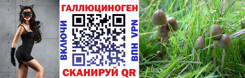 Псилоцибиновые грибы мухоморы Вихоревка